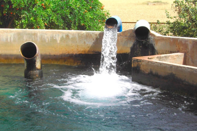 فلاحو &quot;كاف العروس&quot; يطالبون بإصلاح السدود والسواقي