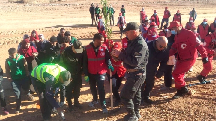 عملية تشجير كبرى بمحاذاة الخط السككي غارا جبيلات