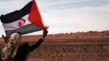 آلة الحقيقة تفضح بهتان المخزن