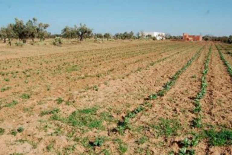 أحكام متفاوتة بالسجن ضد مافيا العقار بخرايسية