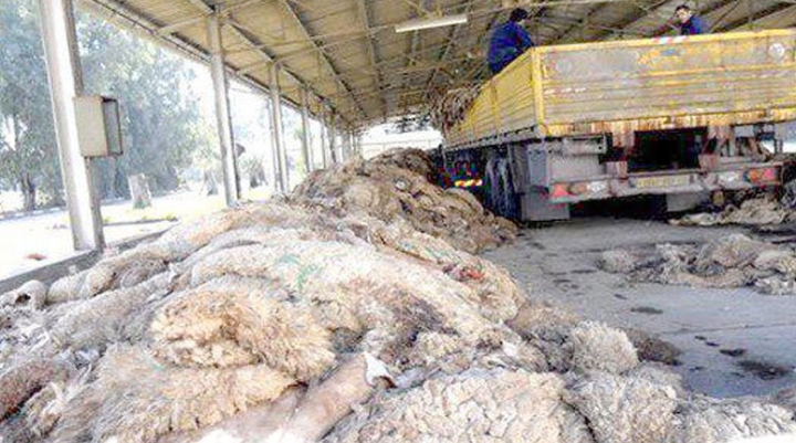 مواقع لتجميع الجلود ووسائل هامة لرفع مخلفات الأضاحي