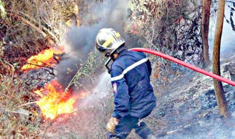 الفحم المسوق بقارعة الطرق مضر بالصحة