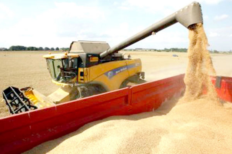 خسائر قُدّرت بـ 80 بالمائة هذا الموسم