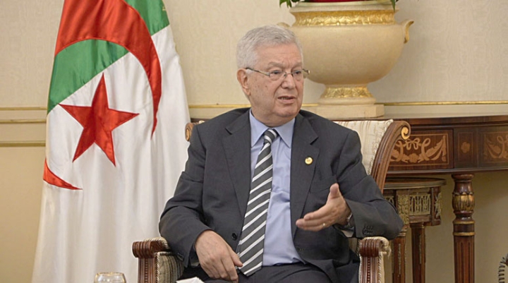 رسالة الكشافة تنثر غرس نوفمبر وتحصد جزائر منتصرة محصّنة