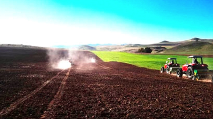 فائض في البذور وتوزيع جيد للأسمدة