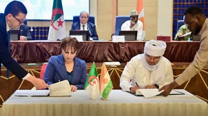 أسابيع ثقافية في الجزائر والنيجر وحماية الآثار ضمن الأجندة