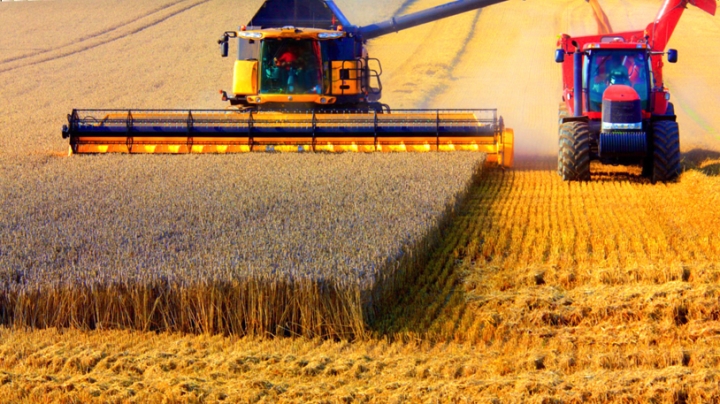 الجزائر بخطى ثابتة نحو مصاف الدول الناشئة