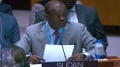 مندوب السودان الدائم لدى الأمم المتحدة، الحارث إدريس الحارث محمد
