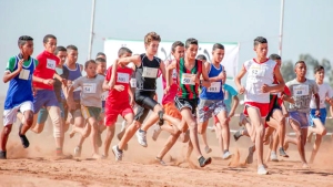 تحديد أماكن إجراء مختلف البطولات الوطنية