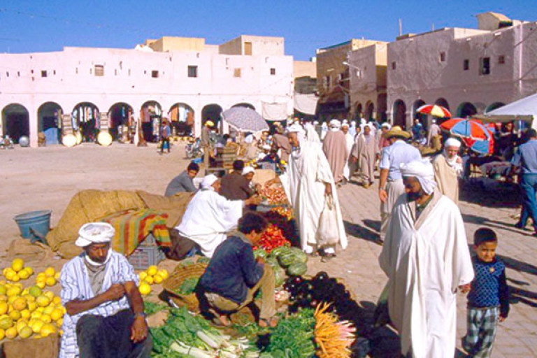 باكورة &quot;الغرس&quot; بأسعار مرتفعة