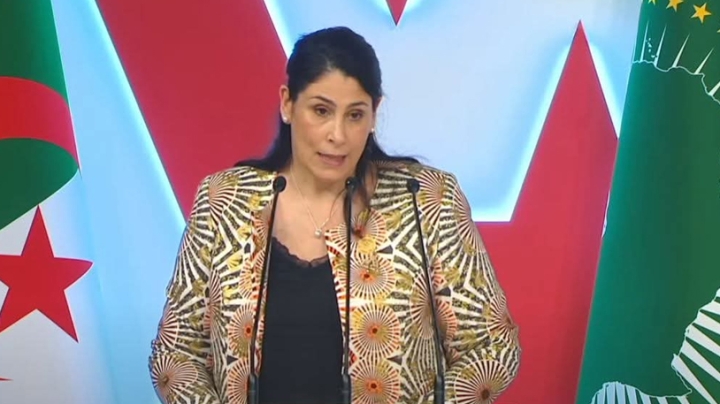 الجزائر تقود حراكا لتجريم الاستعمار في إفريقيا