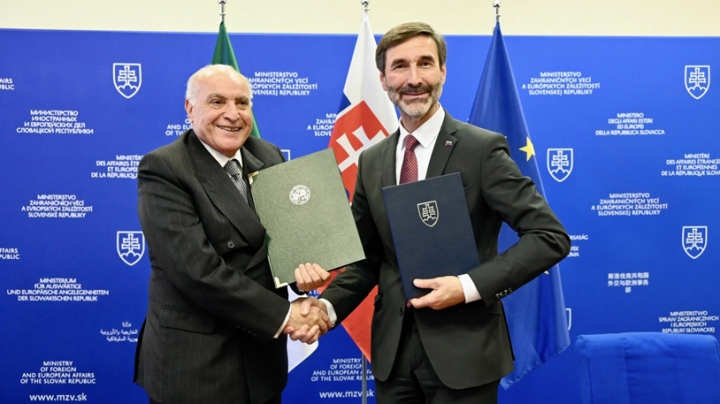 الجزائر- سلوفاكيا.. تعاون وضبط الأولويات