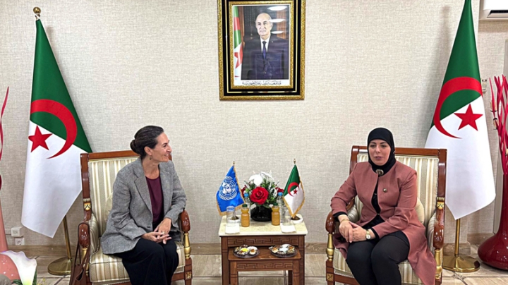 دعم أممي للتحوّل الرقمي في الجزائر