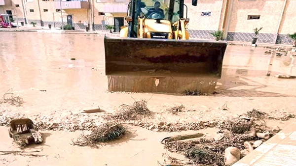 بدون تعليق