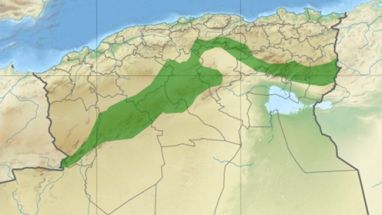 إعادة بعث السد الأخضر عبر 13 ولاية في 2023