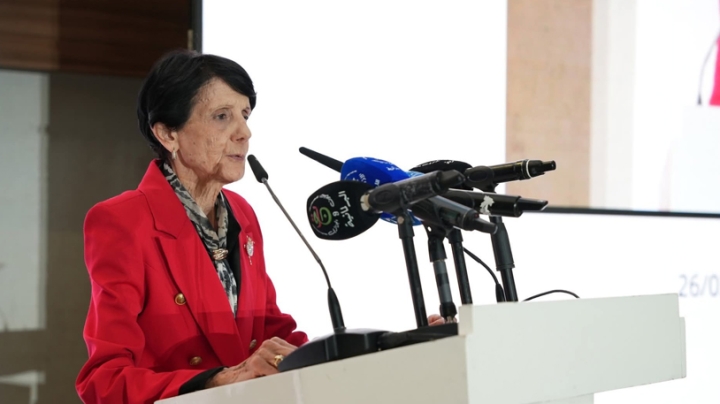 القضاء الدستوري في الجزائر حارس أمين للحقوق والحريات