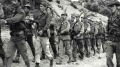 جيش التحرير الوطني