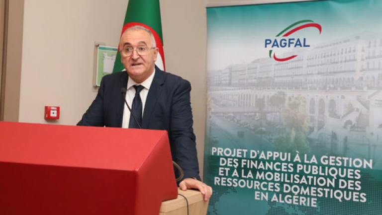 أهمية قصوى للتحوّل الرقمي في الجزائر