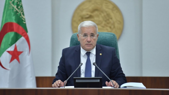 إرادة سيادية راسخة لبناء اقتصاد وطني متنوّع