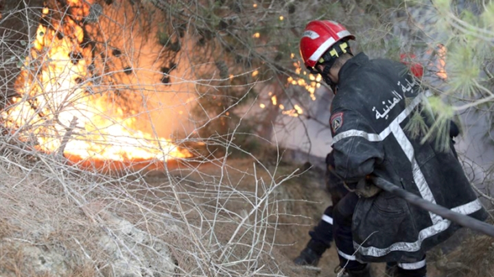 تحضير مبكر لمخطط الحرائق بتيبازة