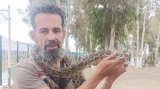عمار طاطاي مربي الأفاعي والتماسيح يُبهر زوار &quot;نوميديا لاند&quot;
