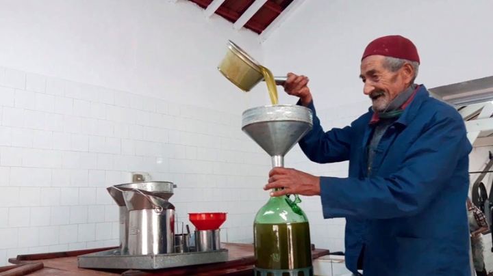 معاصر زيت الزيتون التقليدية بتيبازة صامدة رغم الزمن