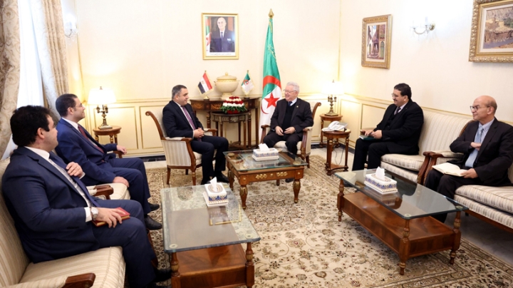 دور محوري ومسؤول لمصر والجزائر في صون التوازن الإقليمي