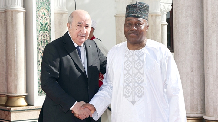 الرئيس تبون يحقق الأفضل للجزائر ومنطقة الساحل