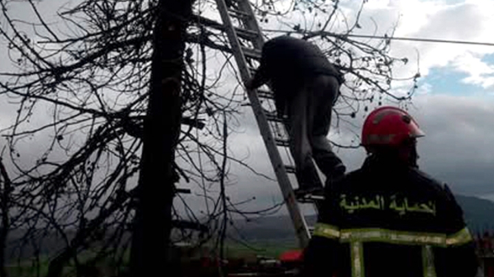 الحماية المدنية تواصل تدخلاتها