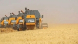 استعدادات مبكرة لضبط حملة الحصاد