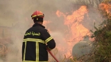 جرائم الحرائق صورة صريحة لجرائم الخيانة