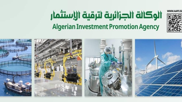 تفويض الصلاحيات بالشبابيك الوحيدة للضرائب والطاقة