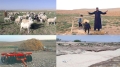 سكان مشاتي ثليجان بتبسة يطالبون ببرامج للتنمية