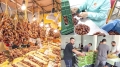 التصدير.. رهان تثمين التمور البسكرية