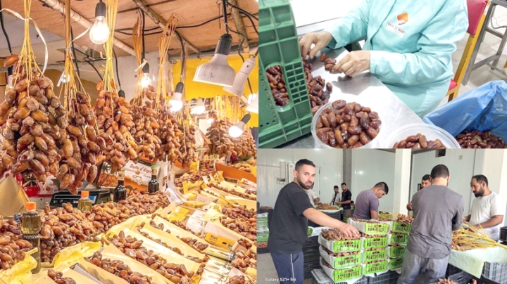 التصدير.. رهان تثمين التمور البسكرية
