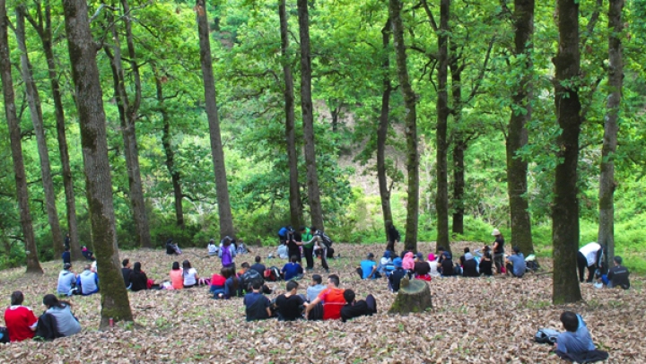 جهود ميدانية مكثفة لحماية رئة عنابة الخضراء