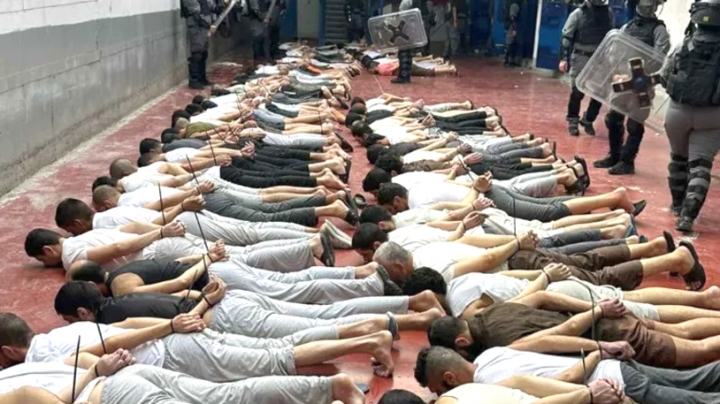 البرلمان العربي يطالب بتشكيل لجنة دولية