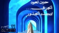 جذور تتجدد... لتبهر الأجيال وإطلاقُ منصة "Be Djazairi"