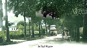 من الذاكرة