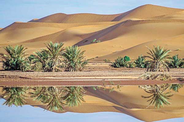 فرصة لإبراز القدرات السياحية الجزائرية 