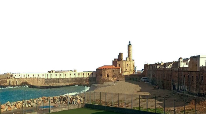 الذّكاء الاصطناعي يتطلّب الحذر في الاستغلال والمرافقة