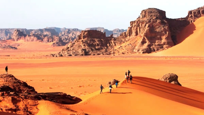 إبراز أهمية استحداث &quot;مخطّط نجدة&quot;