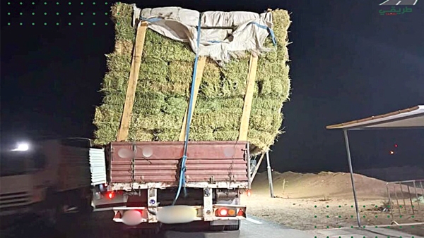 بدون تعليق
