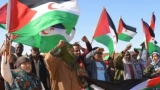 مطالب بفتح تحقيق في الانتهاكات ضد النشطاء الصحراويين