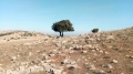 سكان ابن زياد يطالبون بالتفاتة لهذا المعلم السياحي