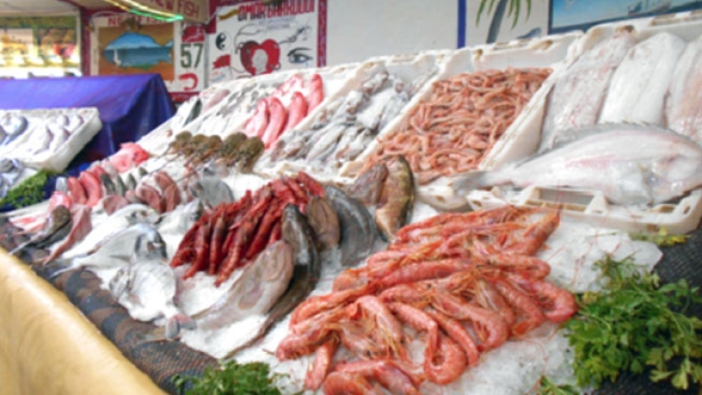 تسويق أسماك بأسعار منخفضة