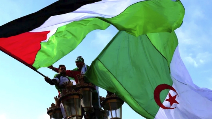دعم الجزائر للأشقاء الفلسطينيين ثابت وراسخ