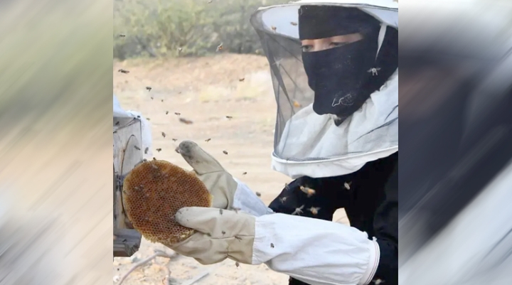 من شغف تربية النحل إلى مشروع إنتاجي واعد