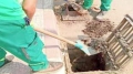 أشغال استباقية لتنقية الأودية والتخلص من النقاط السوداء