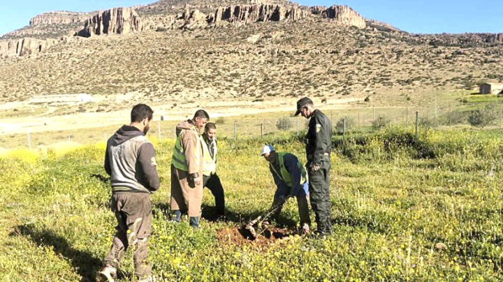 وفد من الصندوق الأخضر للمناخ يزور الجزائر